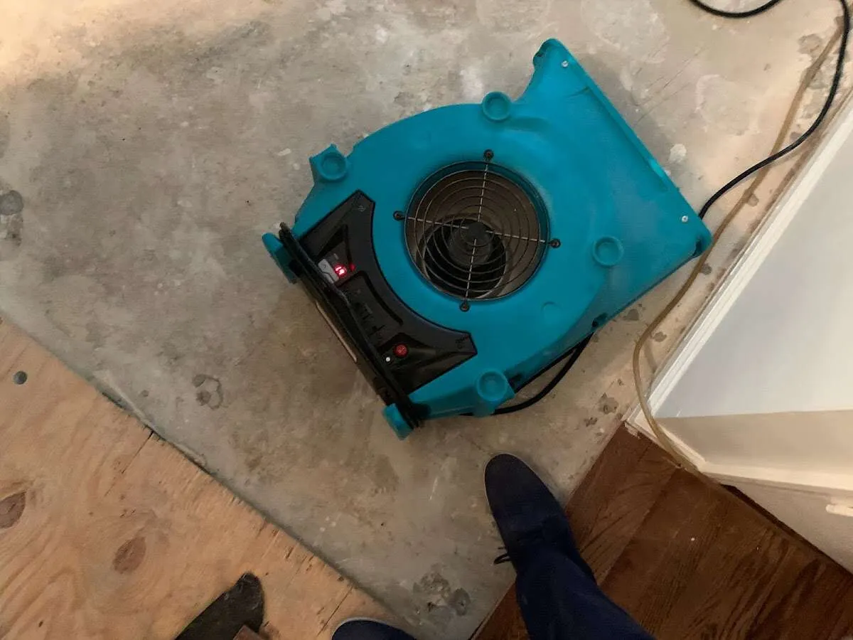 Air mover drying subfloor during Leak Detection & Repair in Cedar Falls